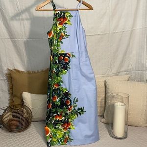 Anthropology Summer Dress